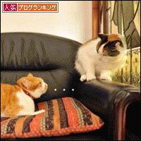 人気ブログランキングへ